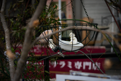 抱いて抱いて抱いて