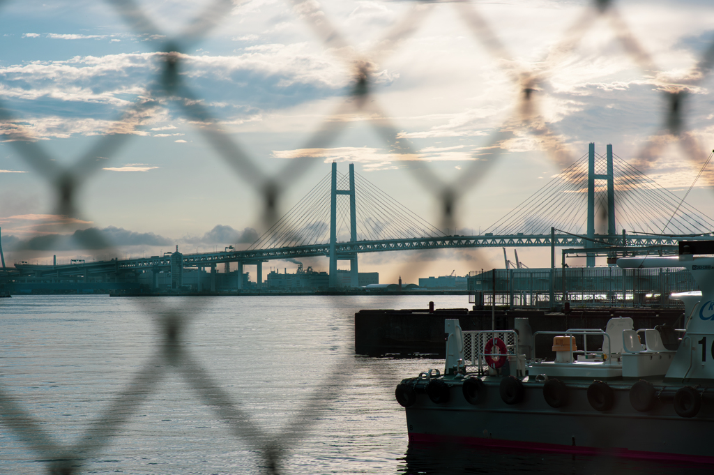 今日も暑くなる