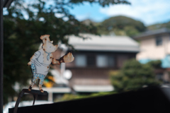 今日も看板の上で