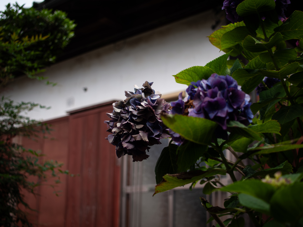 気温31℃