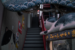だいぶ年季が入って来たなぁ
