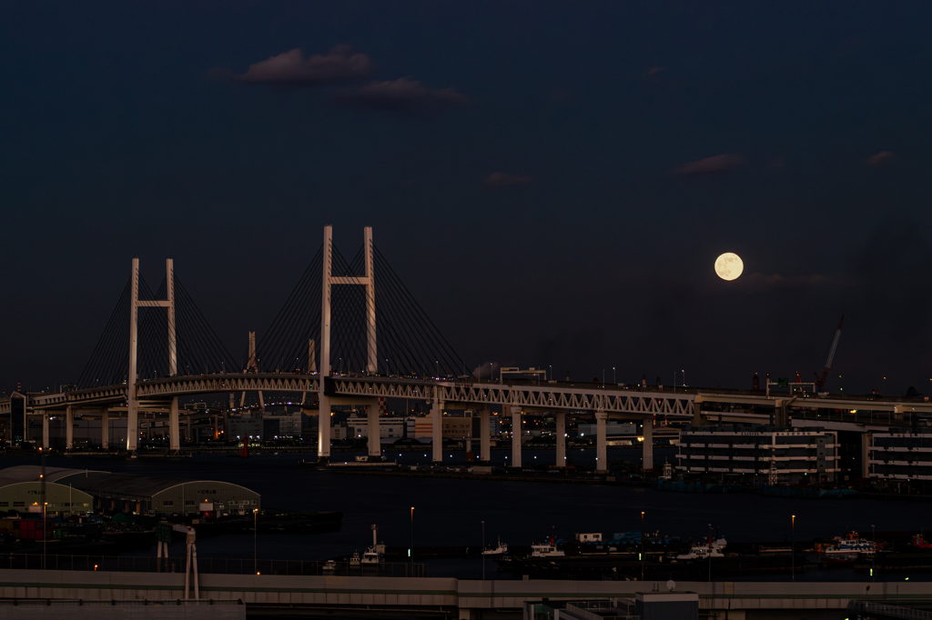 今宵の月のように