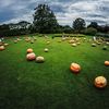Pumpkin Party