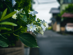 梅雨入り？