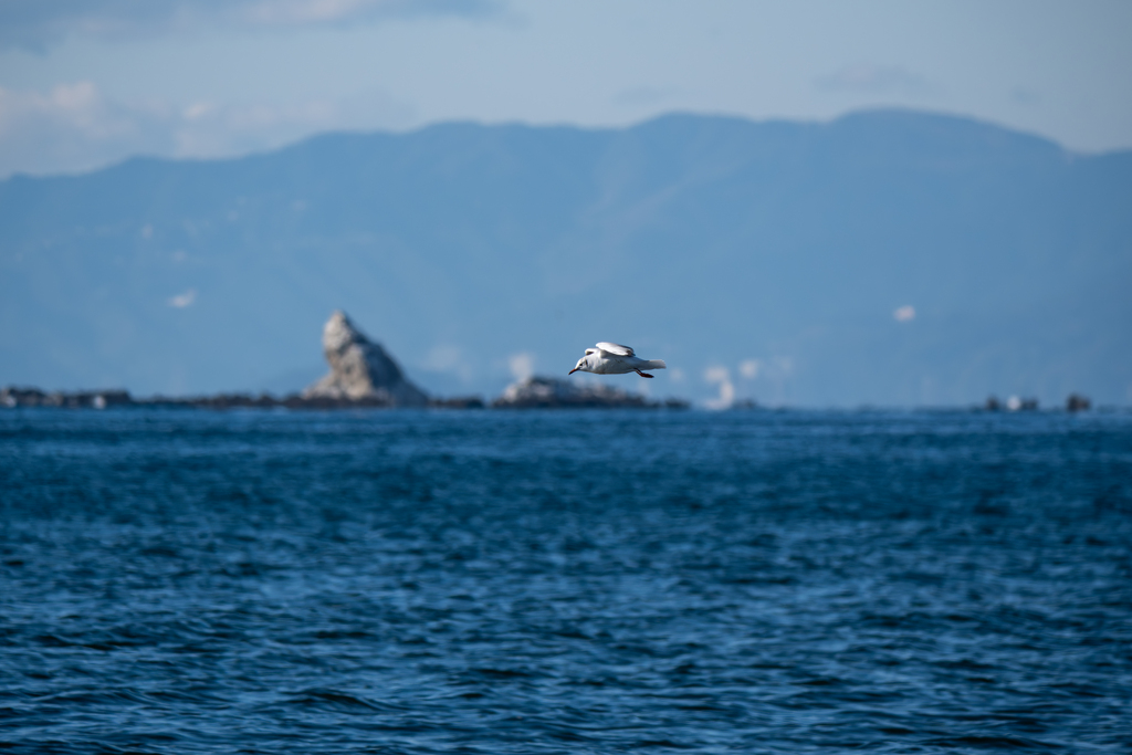 ただ飛ぶと言う事
