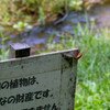 みんなの抜け殻