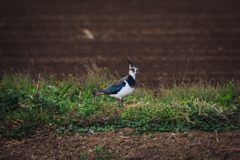 晩秋から初冬へ