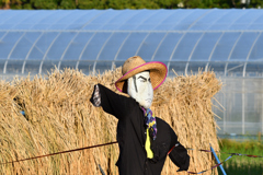 「俺は本能的に 後ろに立つ者を排除する」