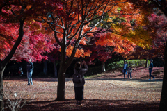 紅葉狩り