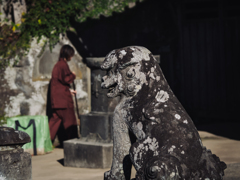 落ち葉を掃く音