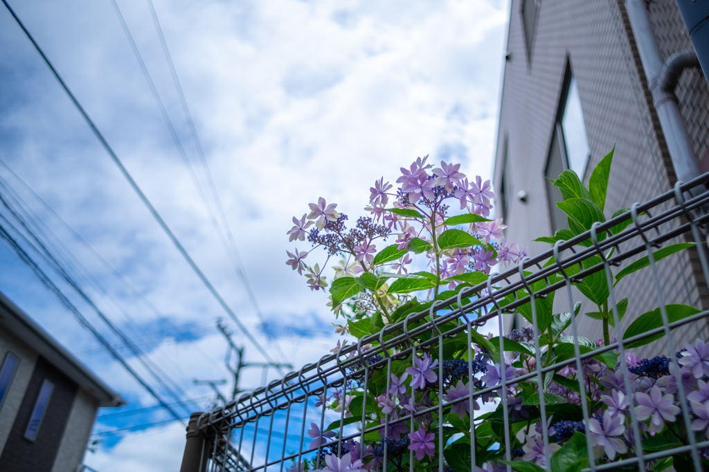 束の間の青空