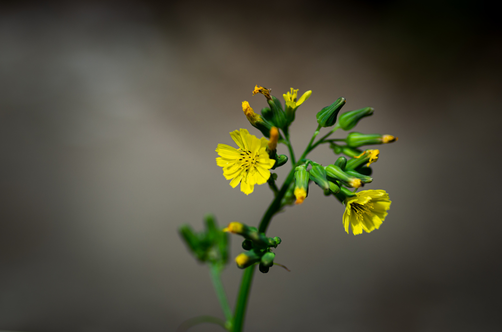 4月の蔵から出してみました。
