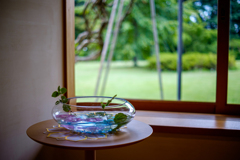 35mm 中華製レンズ試写