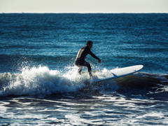 シーズンレス Ⅱ