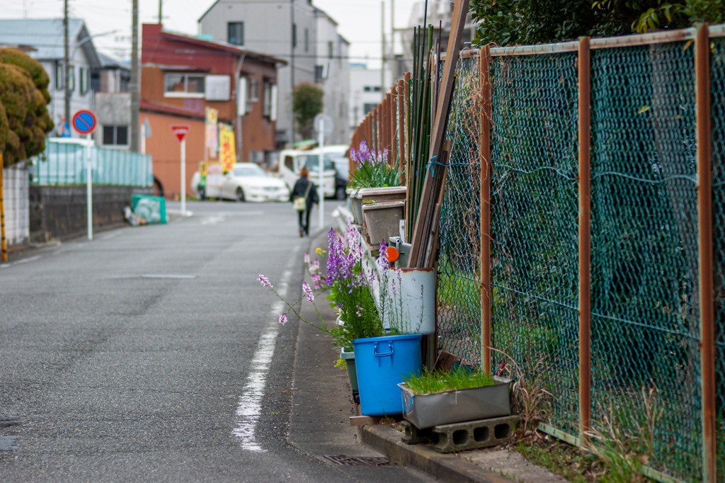 プランターのある風景