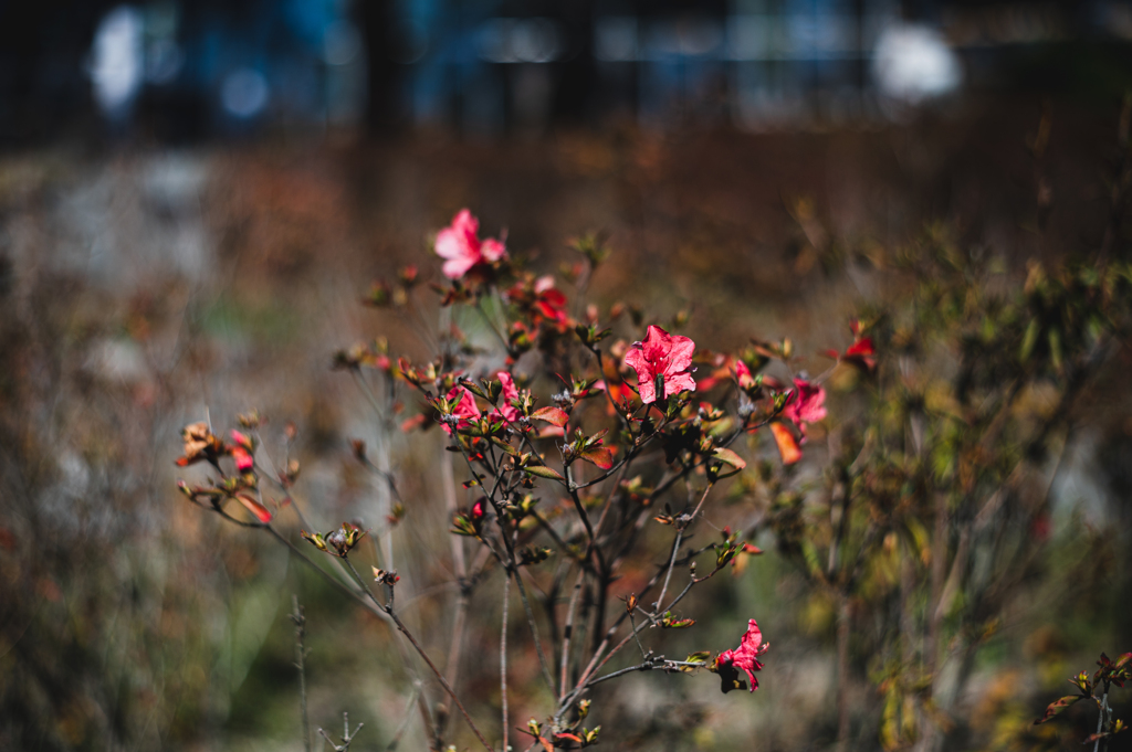 タクマーと言う表現