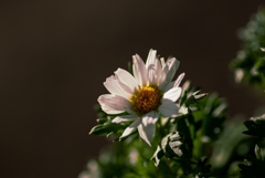 そこはかとなく