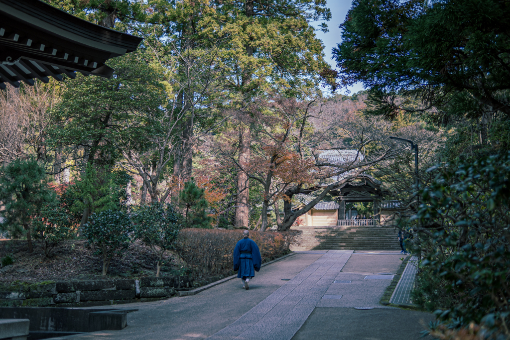 鎌倉・円覚寺