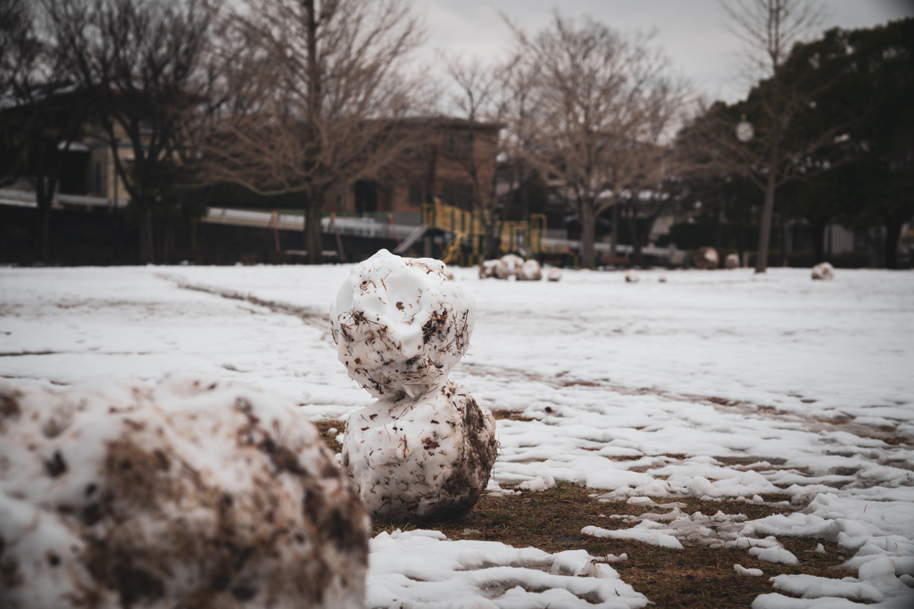 南関東雪景色