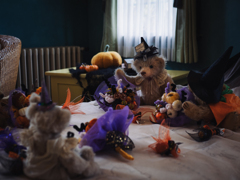 Trick or Treat