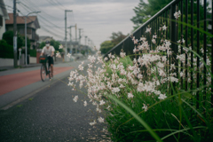 梅雨空