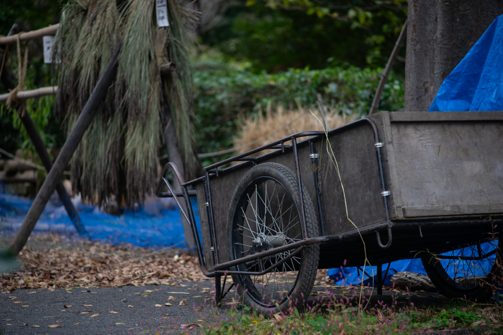 ファインダーの中の私の世界