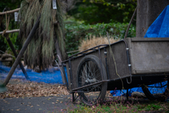 ファインダーの中の私の世界