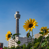 夏空