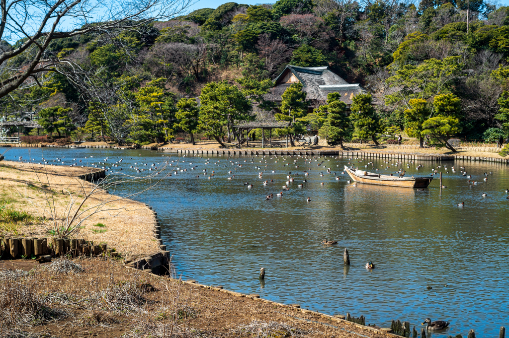 撮って出しがヴィンテージ