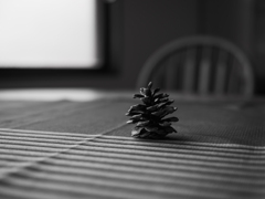 ヴェッツラーへ想いを馳せる