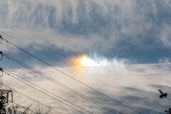 彩雲（と呼ぶらしい）