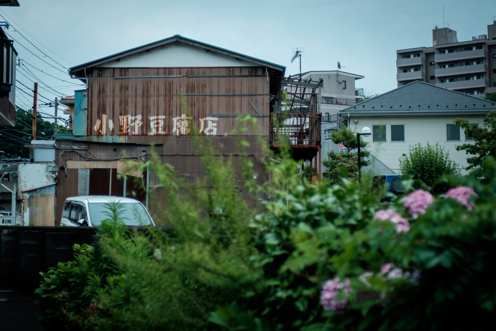 過日