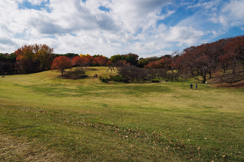 アンジュレーション