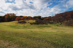 アンジュレーション