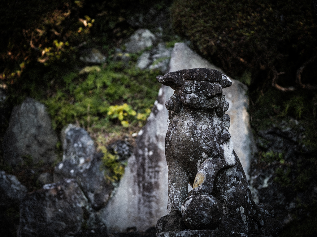 神域を護り続けて