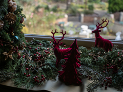 トナカイと言う存在 Ⅱ