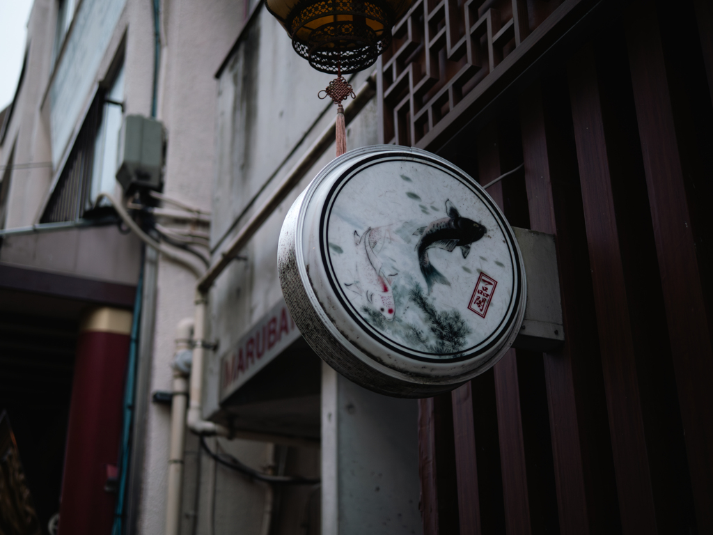 鯉心