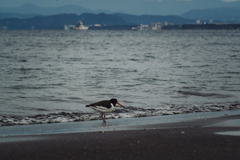 冬が先走る