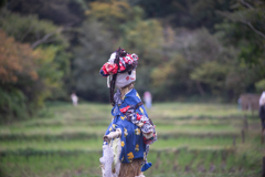 今年の案山子 ３