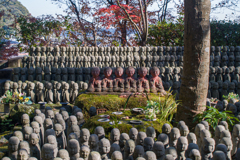 鎌倉・長谷寺