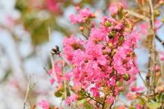 フェードアウト中