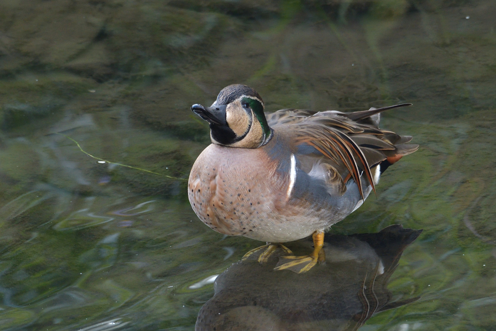 中には愛想の良い子も