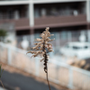 坂の多い街に暮らす