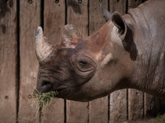 動物園紀行 ３