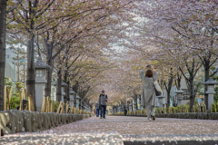 雨が上がって