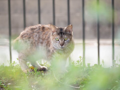 公園の管理人