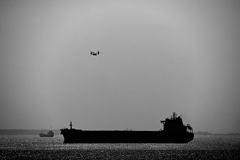 Osprey