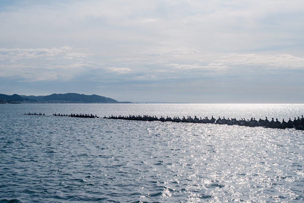 冬の海  白々遠く