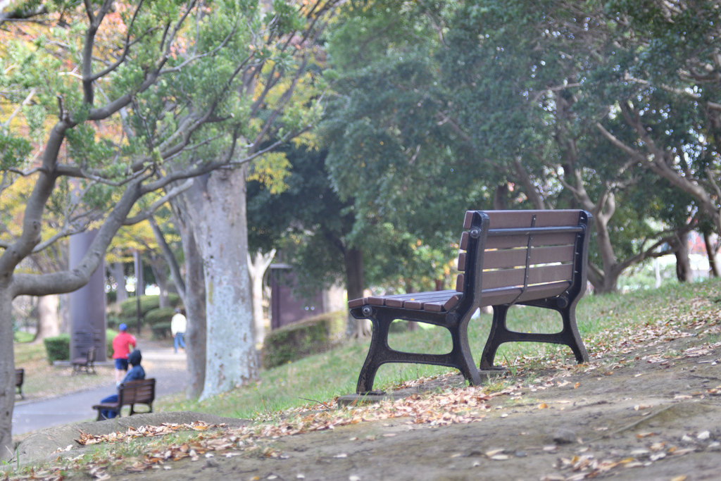 あらためて、Super Takumar 55mm F1.8の世界