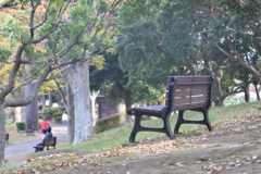 あらためて、Super Takumar 55mm F1.8の世界